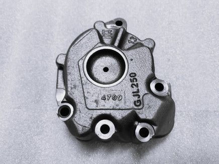Volkswagen 02E DSG Dual Clutch Gearbox Pump Assembly 02E315105A - TN Powertrain
